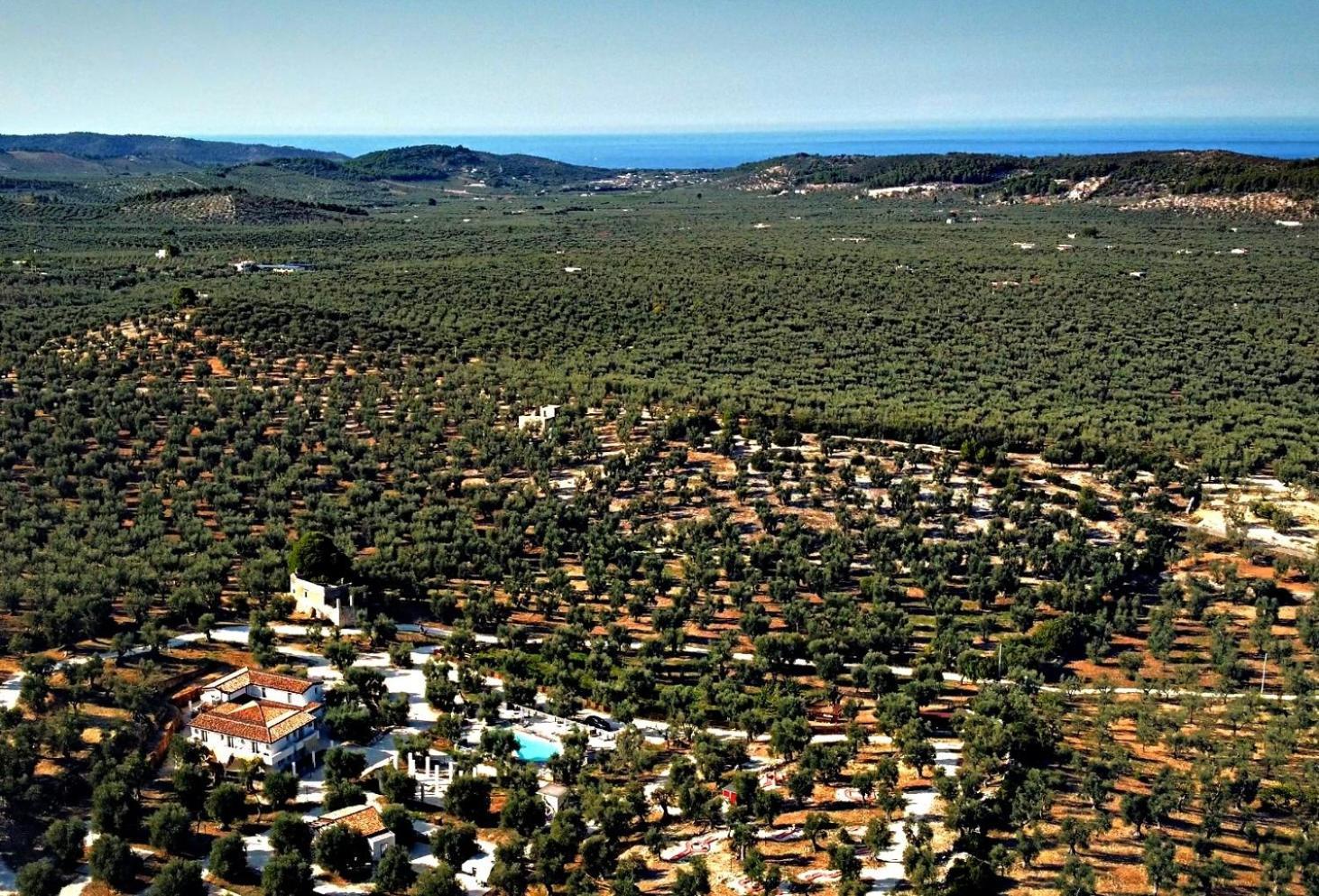 Agricampeggio - Solo Piazzole Vuote - Agriturismo Passione Natura ヴィエステ エクステリア 写真