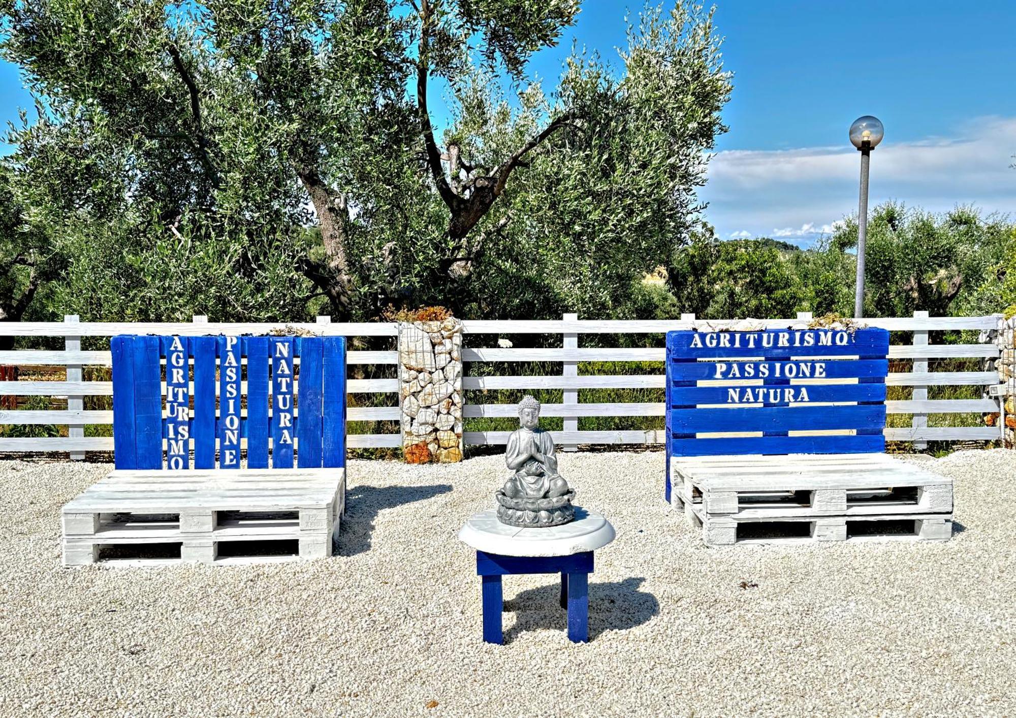 Agricampeggio - Solo Piazzole Vuote - Agriturismo Passione Natura ヴィエステ エクステリア 写真